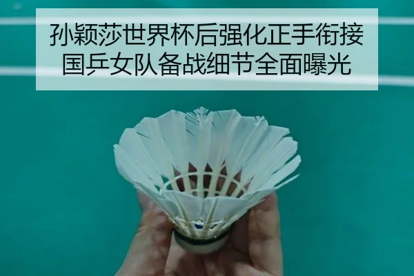 孙颖莎世界杯后强化正手衔接 国乒女队备战细节全面曝光